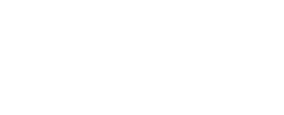 Fristine Infotech